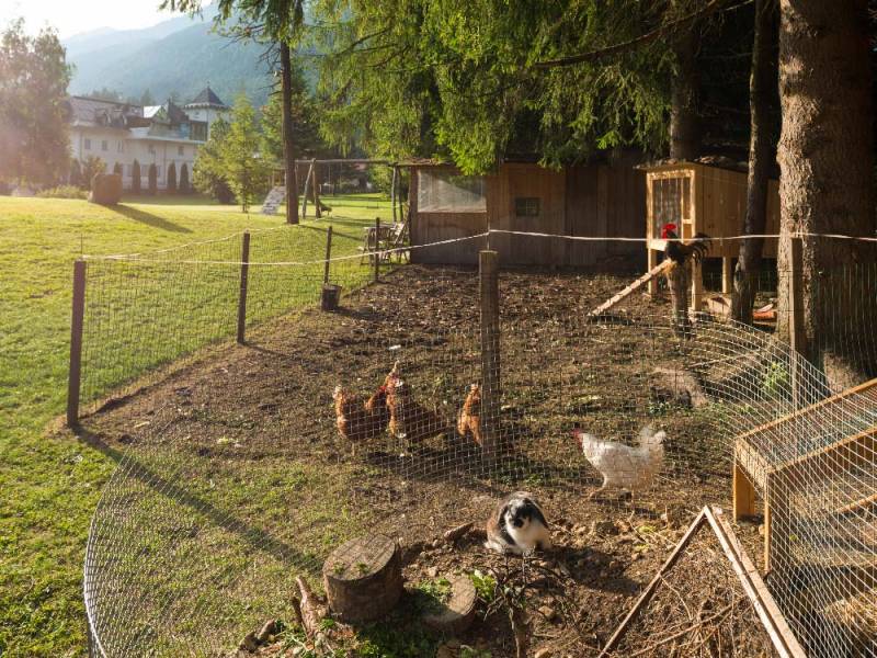 Apparthotel Germania, Garten